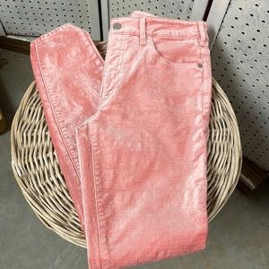 Pilcro for Anthropologie